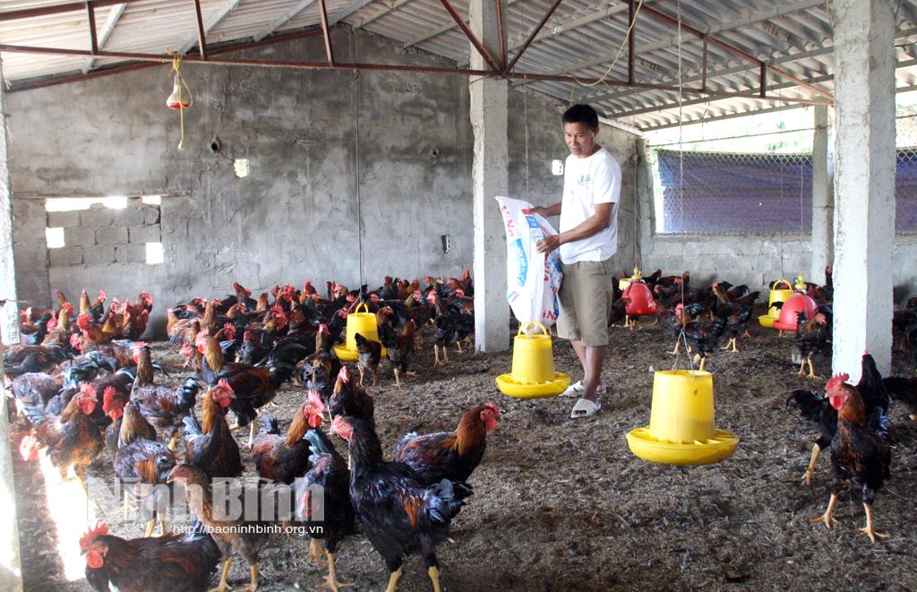 Dồi dào nguồn cung thực phẩm phục vụ Tết Nguyên đán