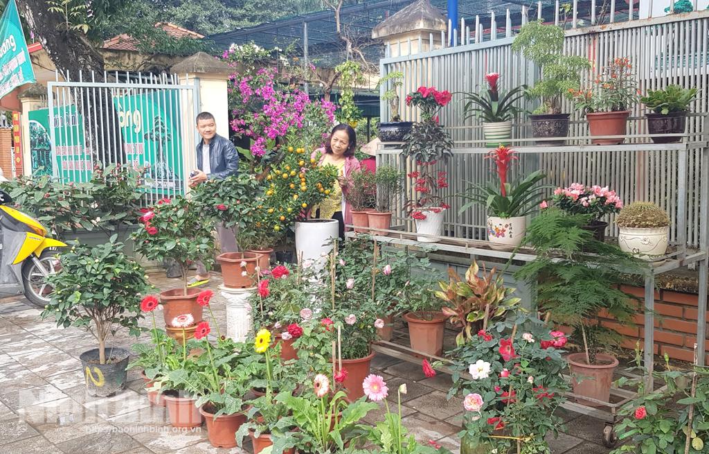 Thị trường hoa, cây cảnh đắt hàng dịp cuối năm