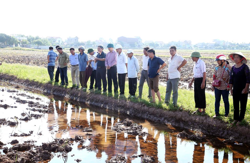 Hội thảo chuyên đề sử dụng chế phẩm vi sinh Sumitri để xử lý rơm rạ thành phân bón