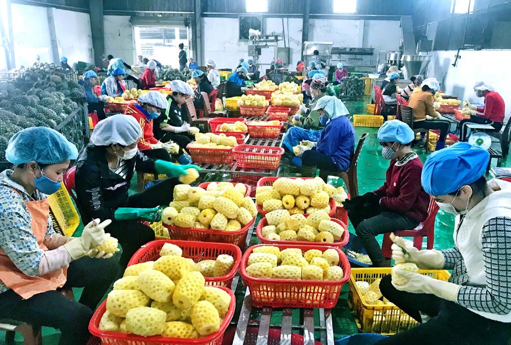 Cơ hội và thách thức của các doanh nghiệp khi tham gia Hiệp định EVFTA