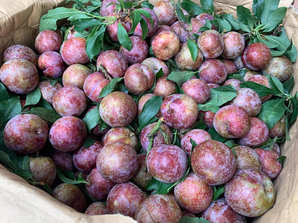 Thị trường hoa quả ngày Tết Đoan ngọ tăng giá mạnh