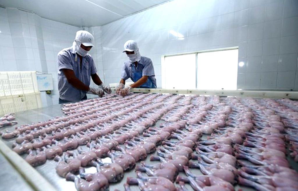 Ủy ban châu Âu: EVFTA chính thức có hiệu lực từ ngày 1/8