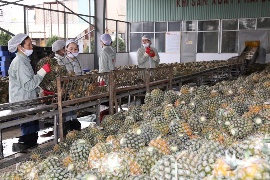 Gắn kết công nghiệp và nông nghiệp để kinh tế phát triển bền vững