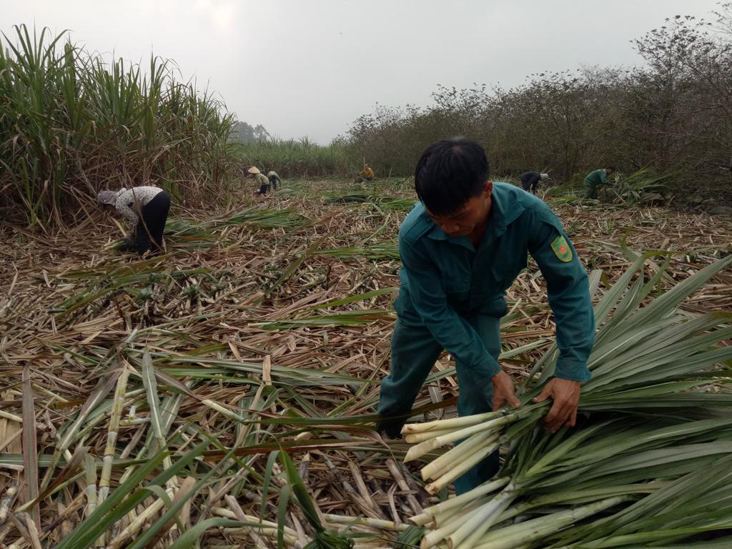 Nâng cao đời sống cho đồng bào dân tộc thiểu số