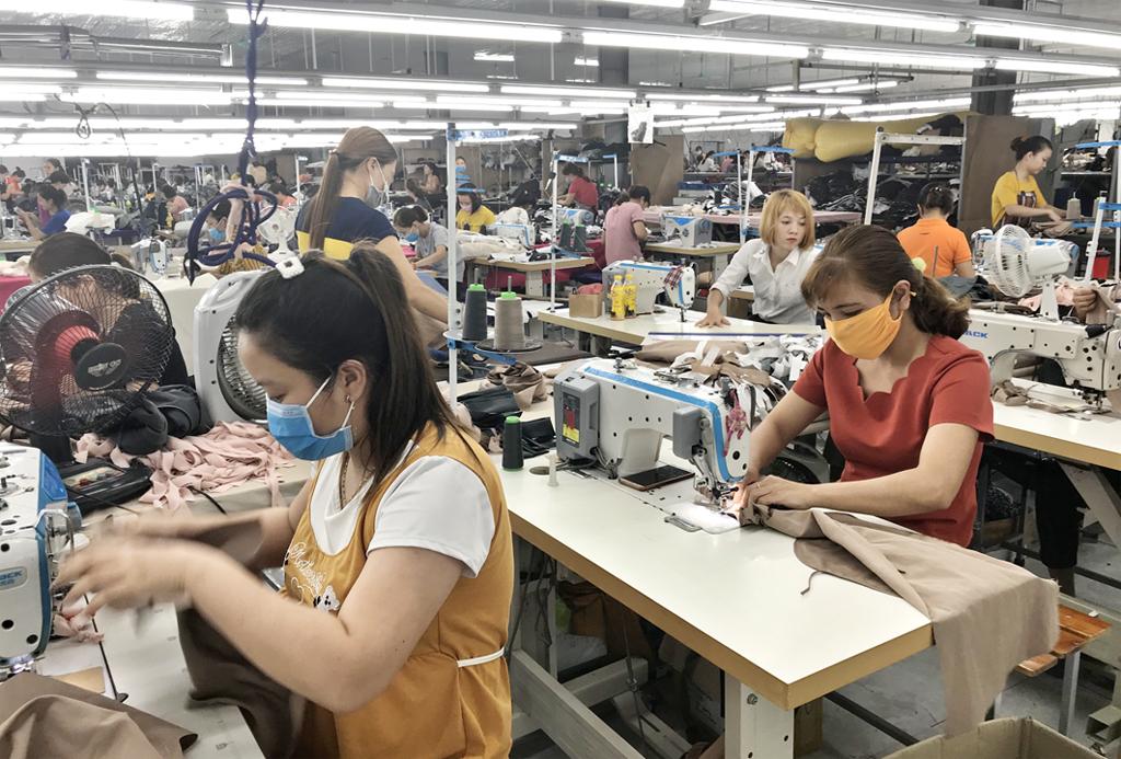 Ngành hàng xuất khẩu vào EU có lợi thế khi Hiệp định EVFTA được thực thi