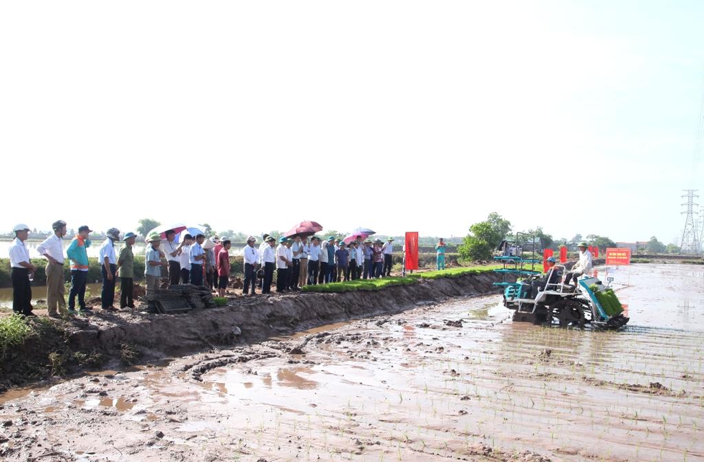 Trình diễn thử nghiệm máy cấy Kubota SPV-6CMD