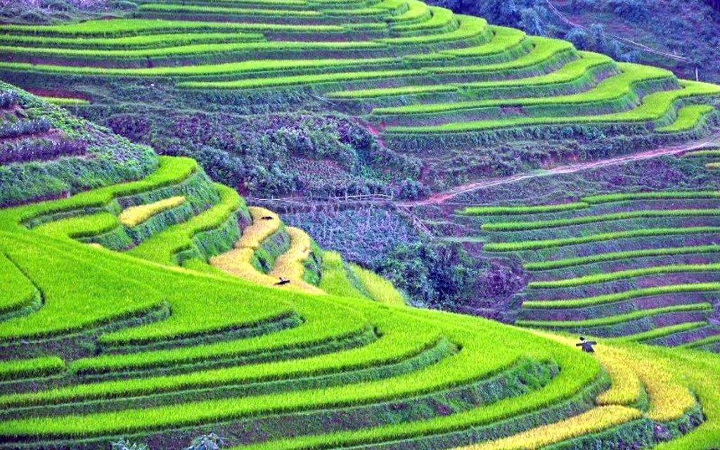 Sapa, Ninh Binh listed among 14 up-and-coming destinations in Asia