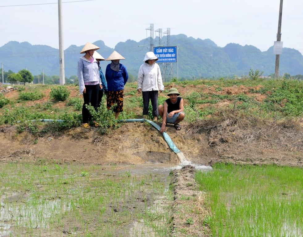 Thạch Bình: Nguy cơ mất mùa cao do hạn hán