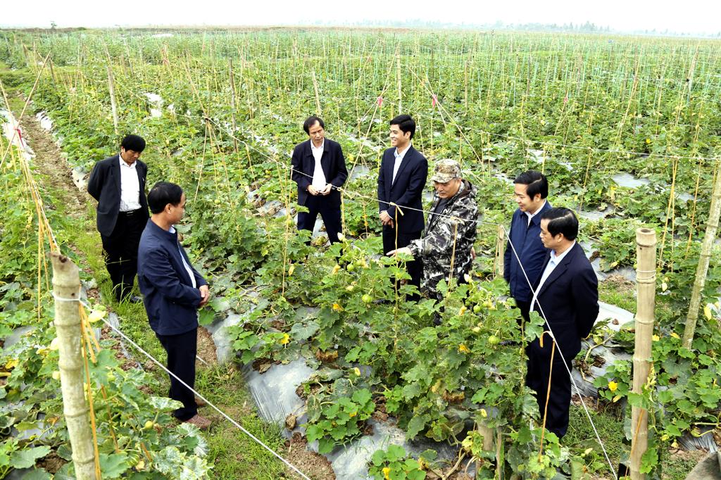 Thực hiện có hiệu quả tái cơ cấu nông nghiệp gắn với xây dựng nông thôn mới