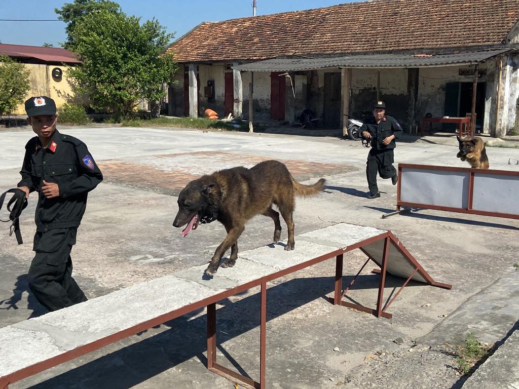 Chuyện về nơi huấn luyện cảnh khuyển