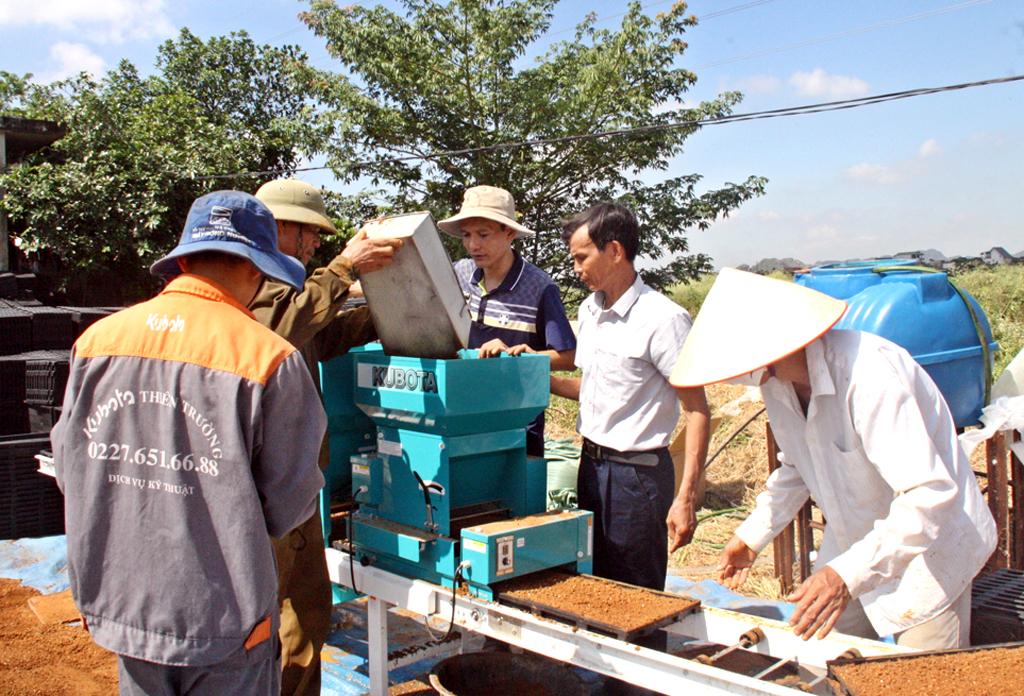 Tích tụ ruộng đất làm giàu từ cây lúa