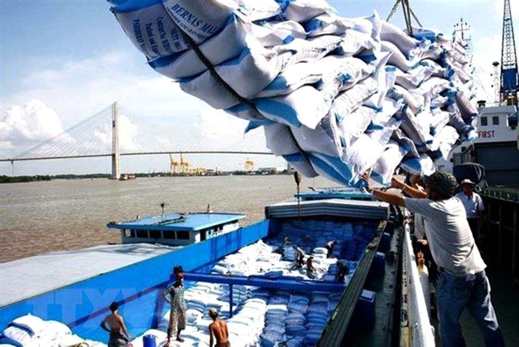 Xuất khẩu gạo Việt Nam sang thị trường châu Phi tiếp tục tăng