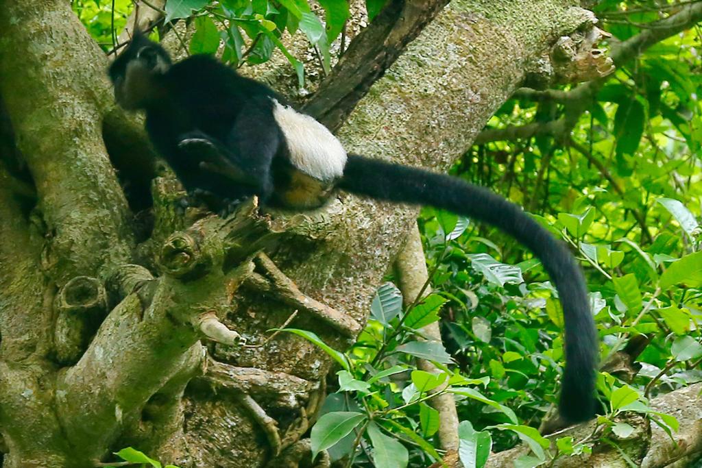 Giữ gìn sự đa dạng sinh học trên địa bàn