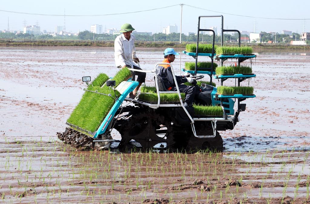 Năm 2020, ngành Nông nghiệp phấn đấu tăng trưởng trên 2,7%
