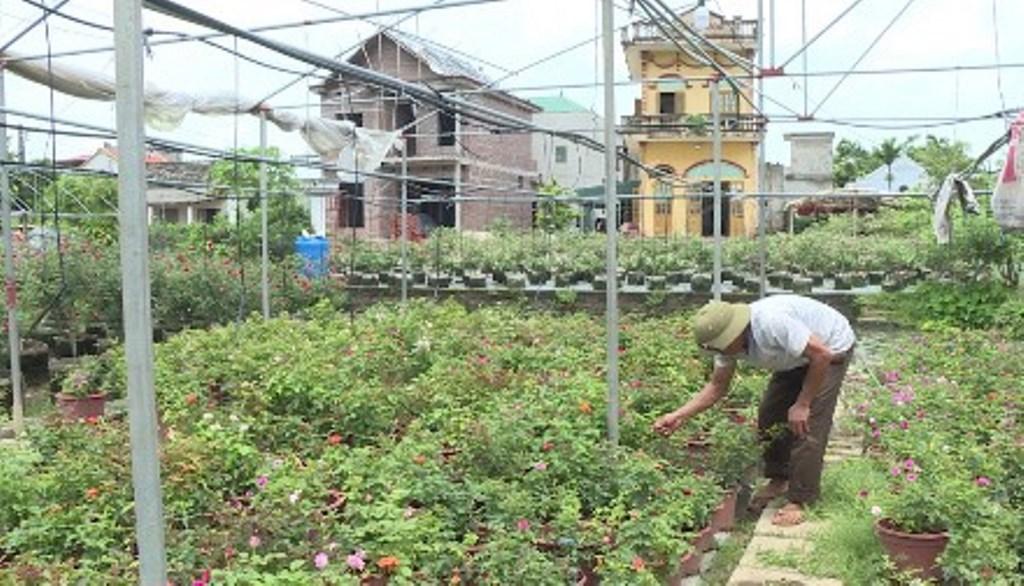 Dân vận khéo trong xây dựng các mô hình phát triển kinh tế