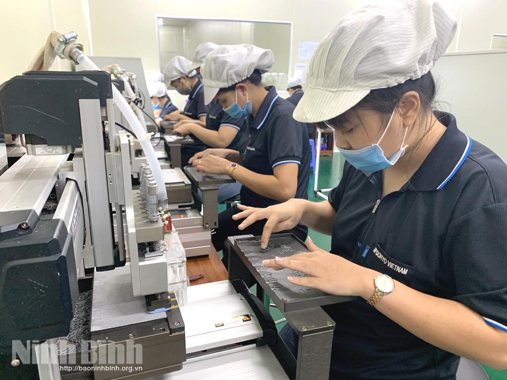 Gia Viễn, nhiều lao động có việc làm, thu nhập ổn định