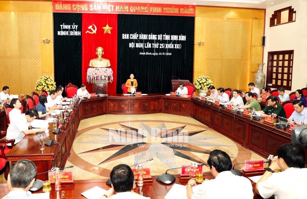 Hội nghị Ban Chấp hành Đảng bộ tỉnh lần thứ 25