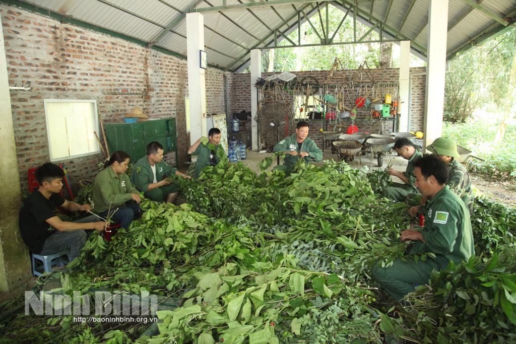 Bảo tồn và phát triển sinh vật ở Vườn quốc gia Cúc Phương