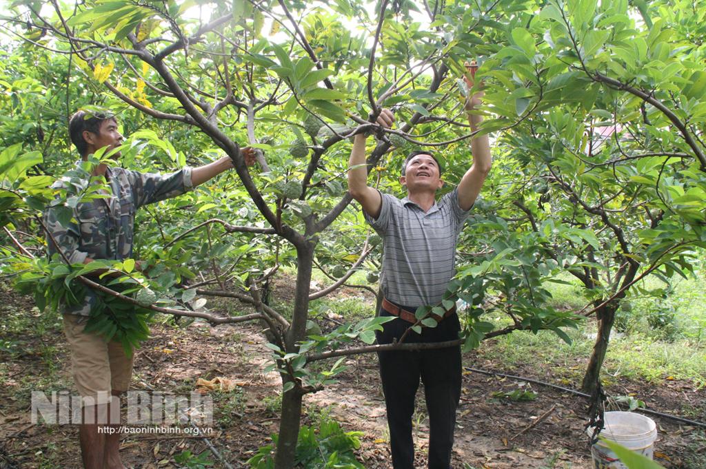 Sử dụng phân bón hữu cơ vì một nền nông nghiệp sạch