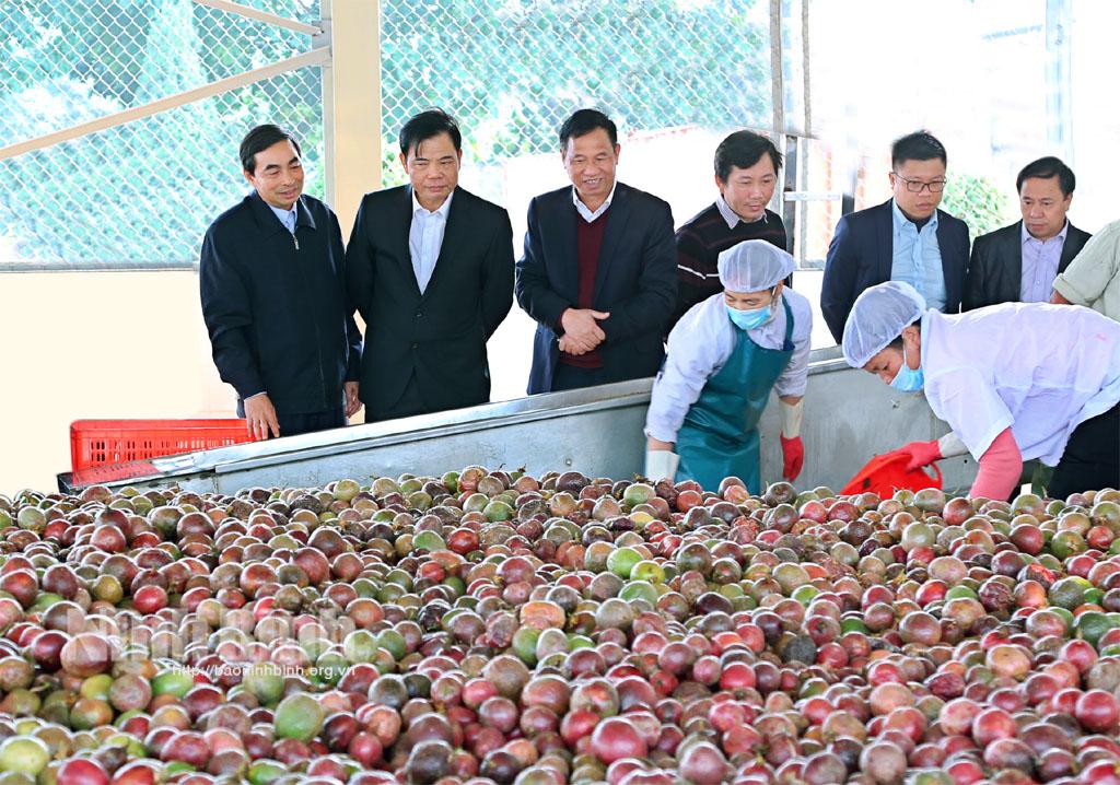 Các phong trào thi đua đã góp phần tạo ra động lực và khí thế thực hiện thắng lợi mục tiêu, nhiệm vụ phát triển kinh tế - xã hội giai đoạn 2015-2020