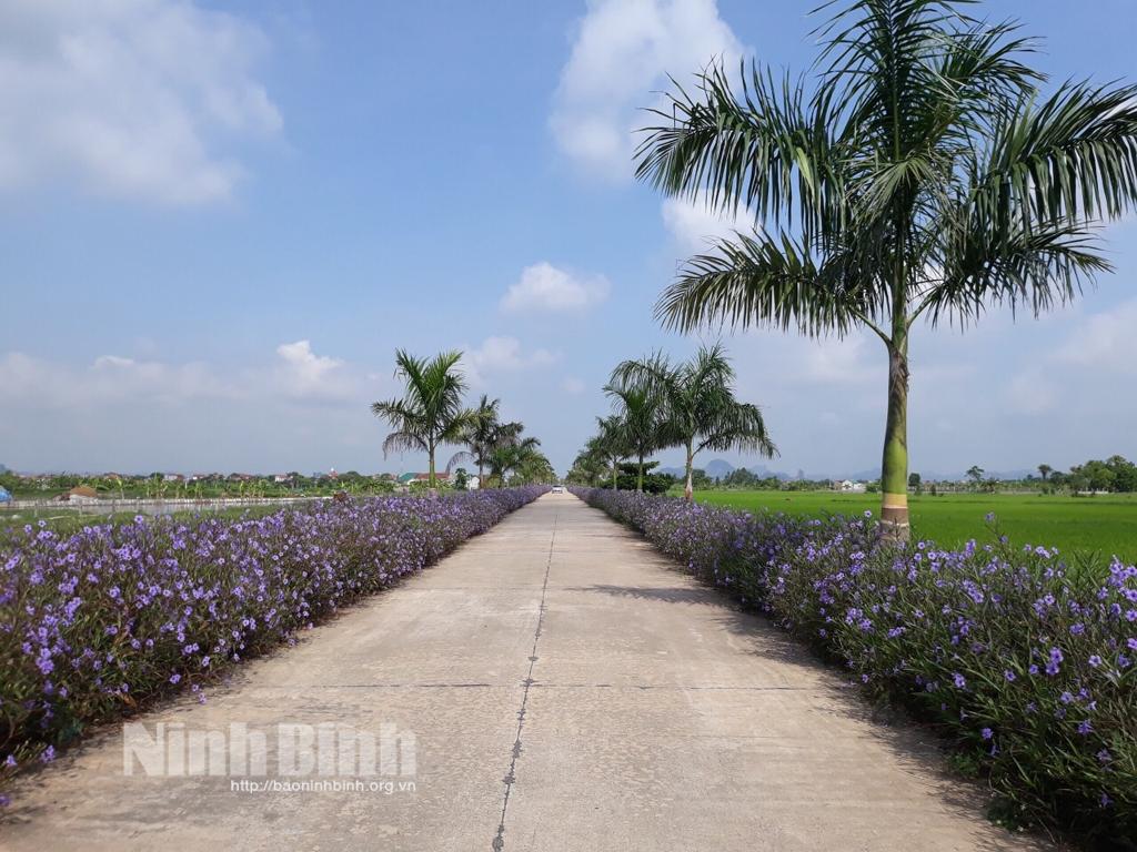 Yên Mô nỗ lực thực hiện tiêu chí môi trường trong xây dựng nông thôn mới