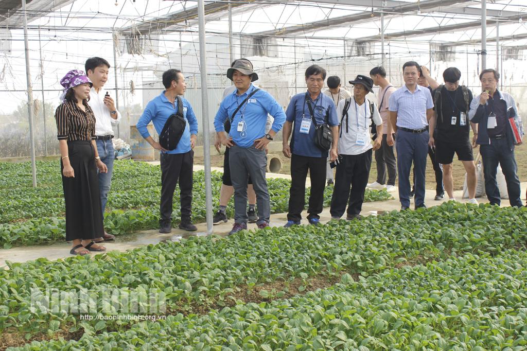 Sức hút từ các phong trào thi đua của Hội Phụ nữ Yên Khánh