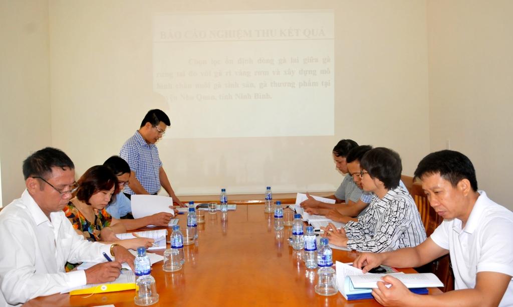 Nghiệm thu, đánh giá đề tài chọn lọc ổn định dòng gà lai tại huyện Nho Quan