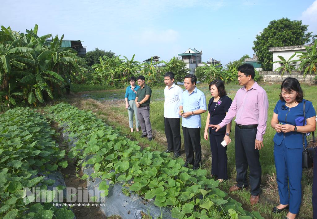 Đồng chí Phó Chủ tịch UBND tỉnh đi thăm một số hộ sản xuất, kinh doanh giỏi