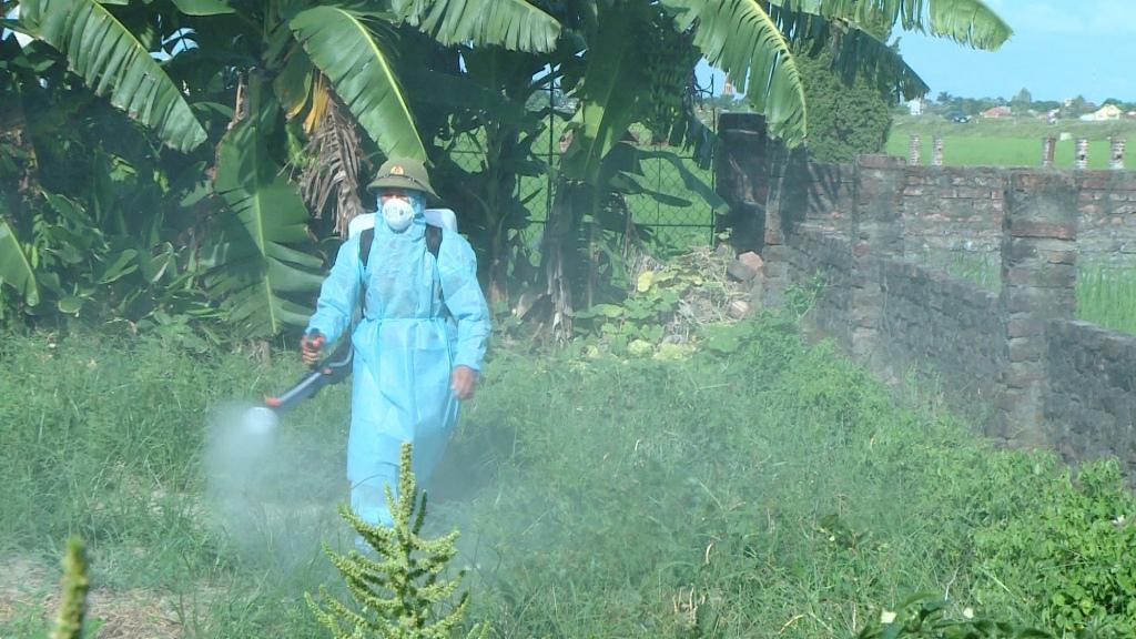 Ninh Bình có 12 ca mắc sốt xuất huyết