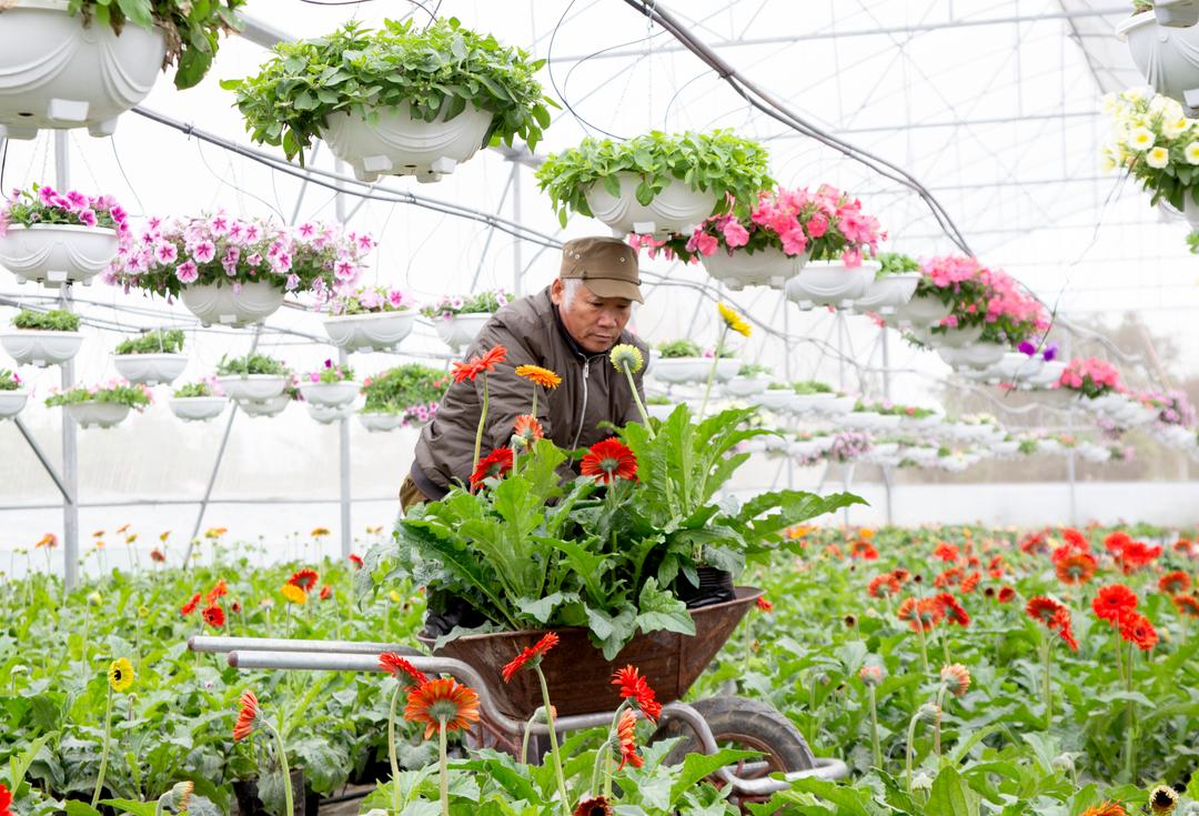 Để nông nghiệp Ninh Bình hội nhập quốc tế