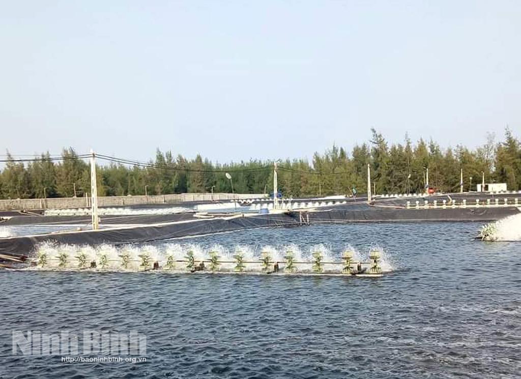 Đảng bộ Kim Hải đưa nghị quyết vào cuộc sống