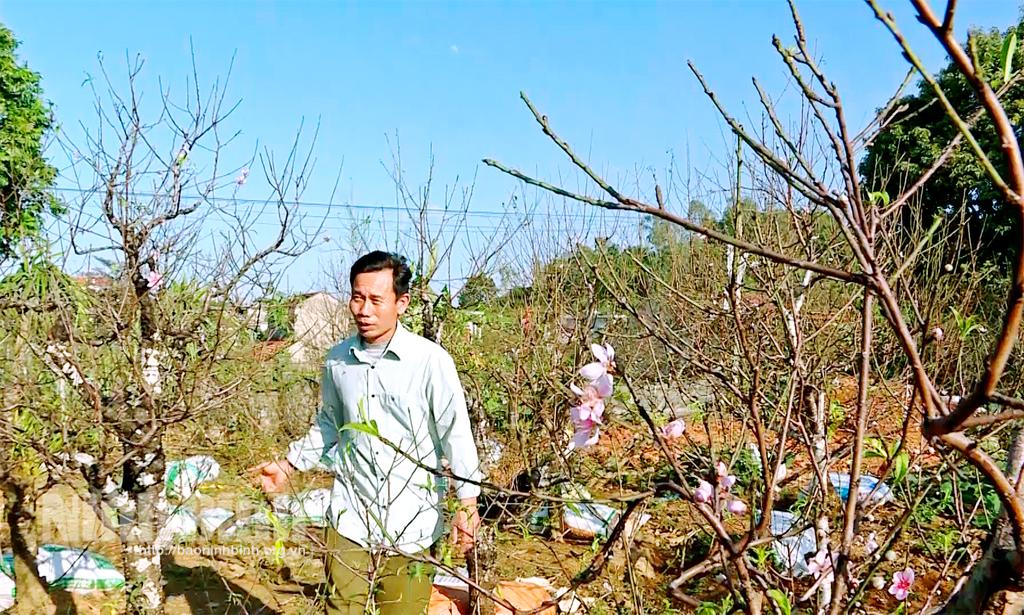 Thành phố Tam Điệp tập trung xây dựng, phát triển các sản phẩm truyền thống