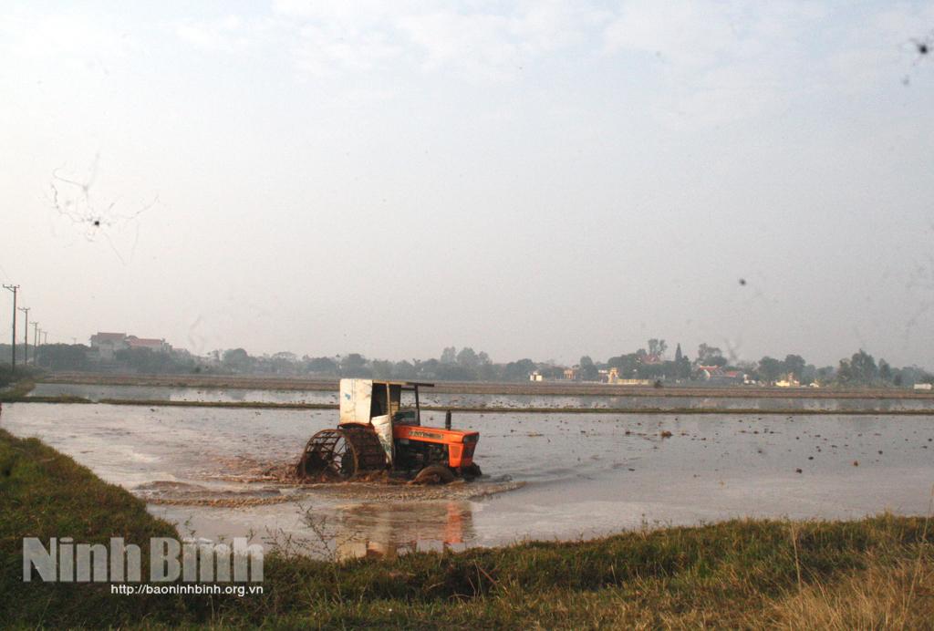 Đảm bảo nguồn nước đổ ải vụ đông xuân