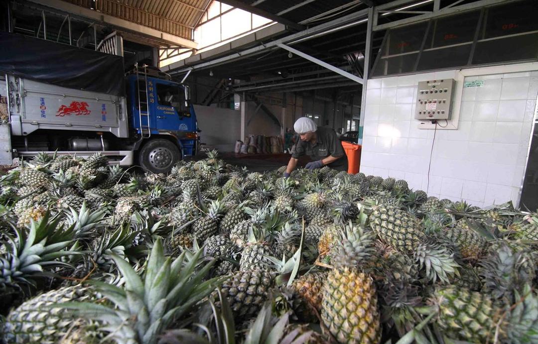 RCEP: Cơ hội phát triển chuỗi giá trị nông sản Việt ra thế giới