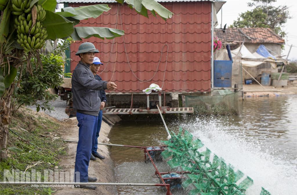 Hội Nông dân xã Gia Thịnh hỗ trợ hội viên phát triển kinh tế