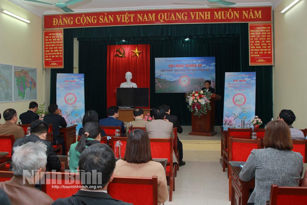 Quảng bá sản phẩm "Đào phai Tam Điệp" năm 2021