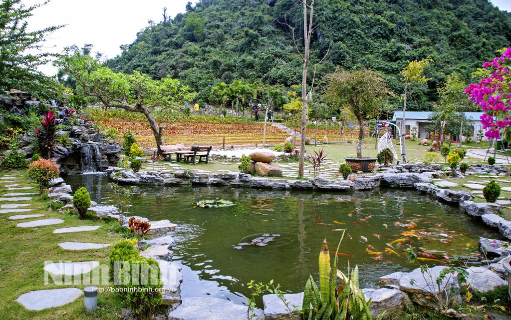 Đông Sơn - "mảnh đất vàng" để phát triển du lịch nông nghiệp, nông thôn