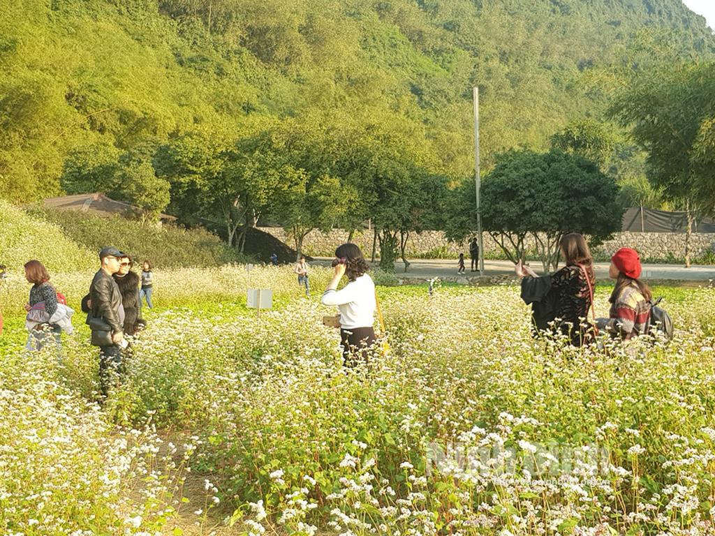 Hiệu quả từ chương trình hội nhập kinh tế quốc tế