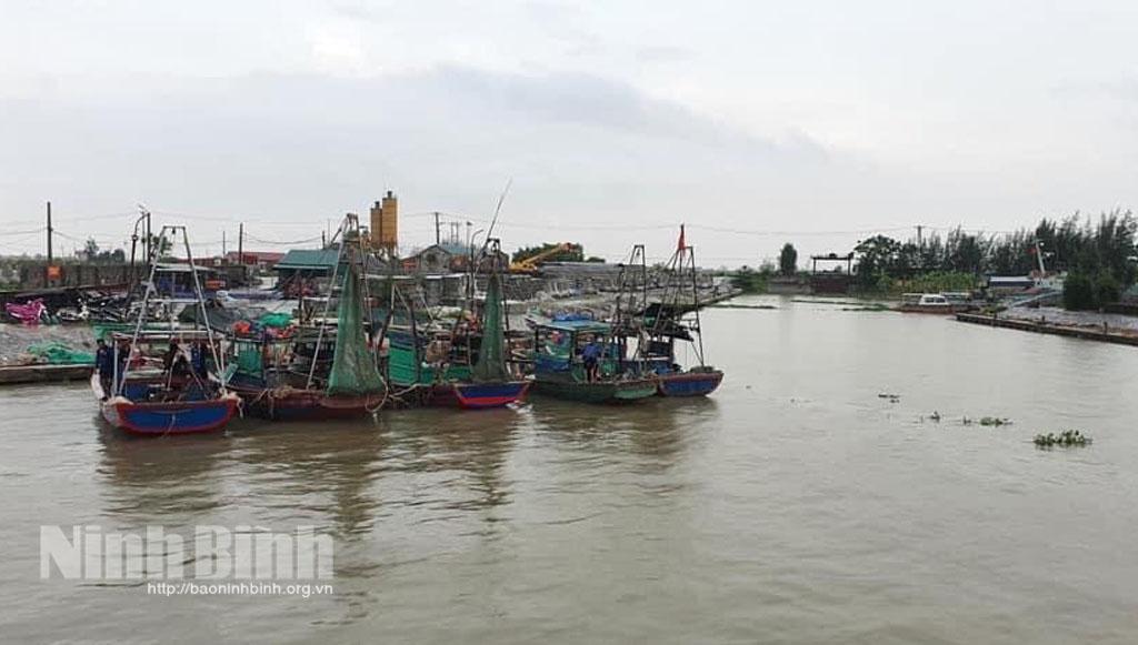 Khẩn trương triển khai phương án ứng phó bão số 8