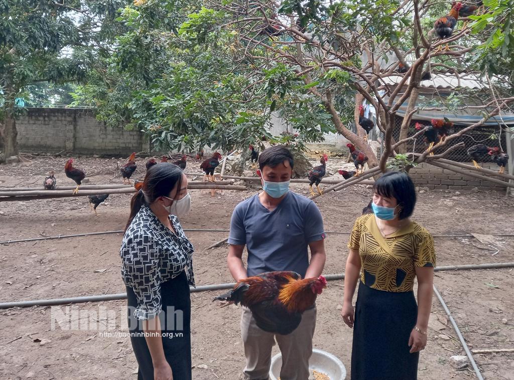 Hội thảo mô hình "Nuôi dê theo chuỗi giá trị liên kết và nuôi gà theo hướng hữu cơ"