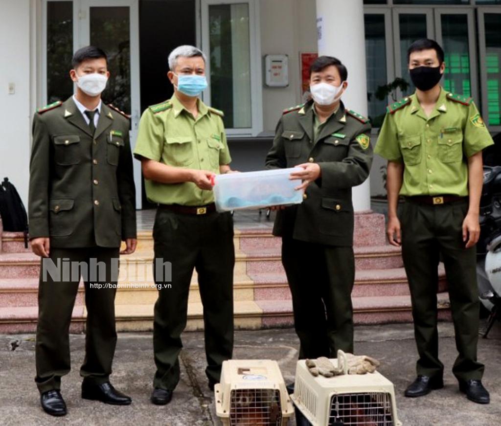 Vườn Quốc gia Cúc Phương tiếp nhận 6 cá thể động vật hoang dã quý hiếm