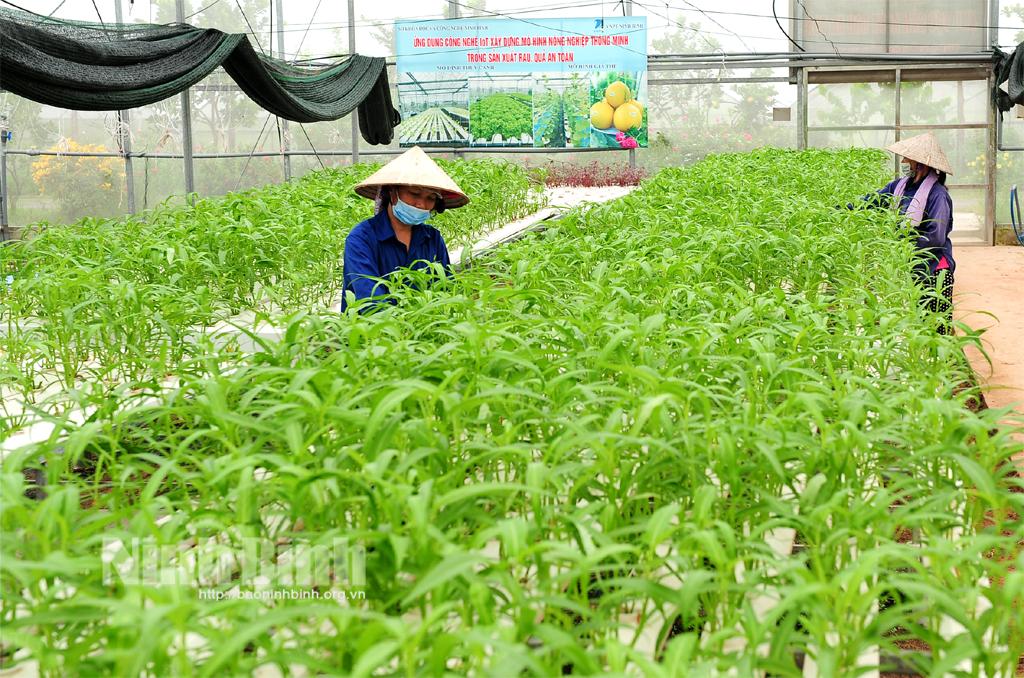 Ninh Binh helps farmers to sell agricultural products on e-commerce platforms