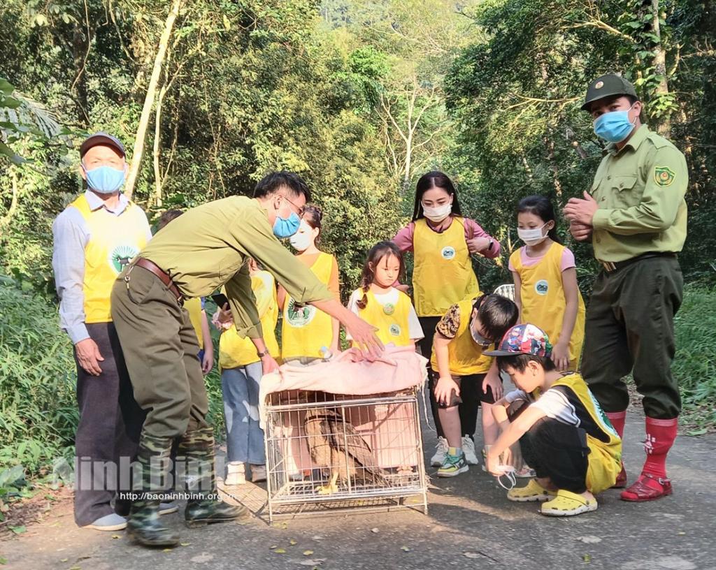 Vườn quốc gia Cúc Phương đẩy nhanh tiến độ "Danh lục Xanh"