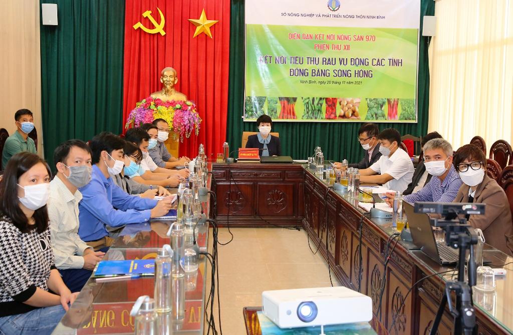 Kết nối tiêu thụ rau vụ đông các tỉnh đồng bằng sông Hồng