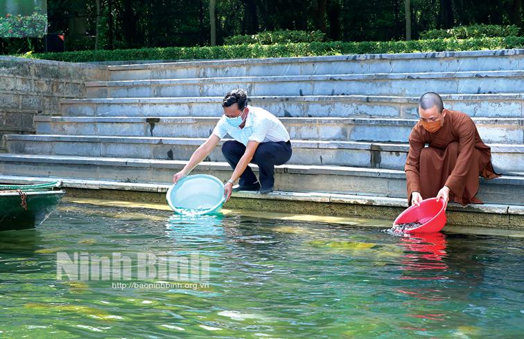 Chỉ thị 04 Lập lại trật tự trong hoạt động khai thác thủy sản: Kỳ II- Siết chặt hoạt động quản lý