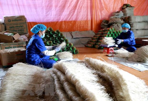 Cải thiện chính sách để thực thi hiệu quả Hiệp định EVFTA