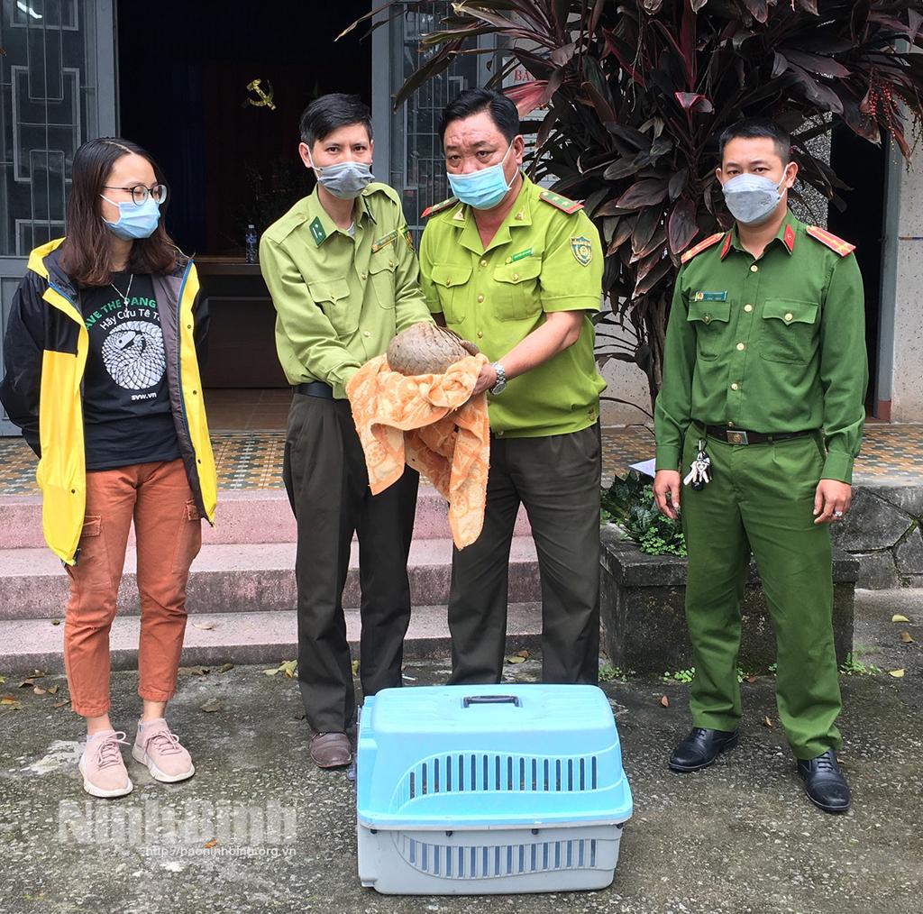 Cứu hộ 7 cá thể động vật hoang dã từ 5 tỉnh, thành phố