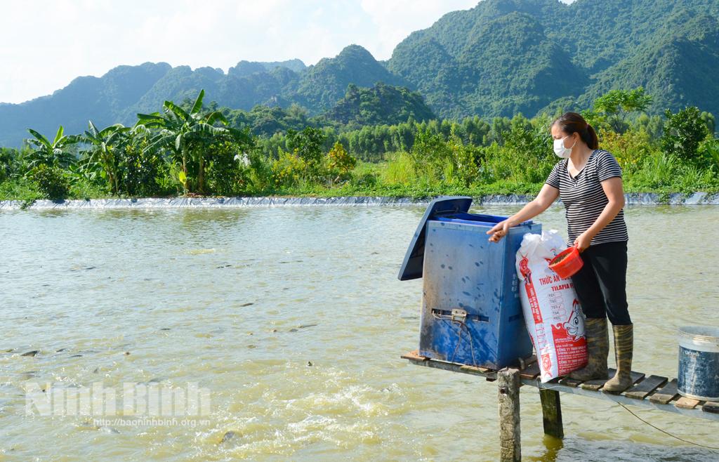 Nỗ lực hỗ trợ phụ nữ khởi nghiệp, phát triển kinh tế