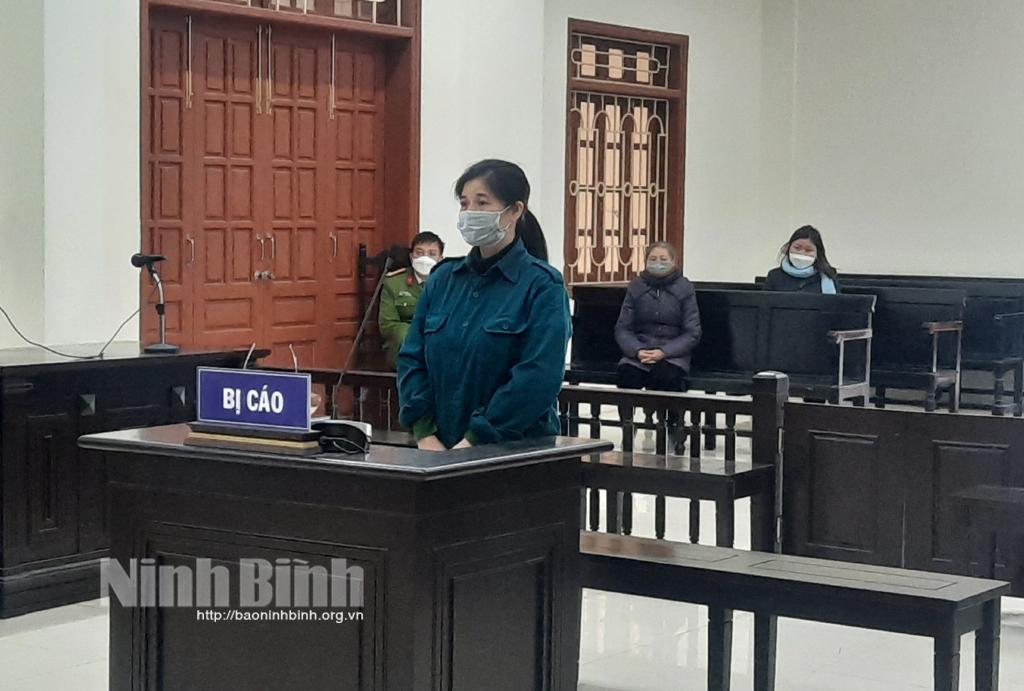 13 năm tù cho hành vi "lạm dụng tín nhiệm chiếm đoạt tài sản"