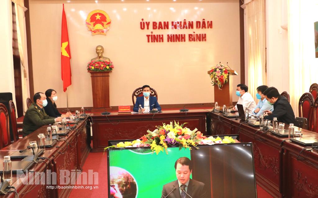 Hội nghị trực tuyến phát triển kinh tế dưới tán rừng các tỉnh trung du miền núi phía Bắc